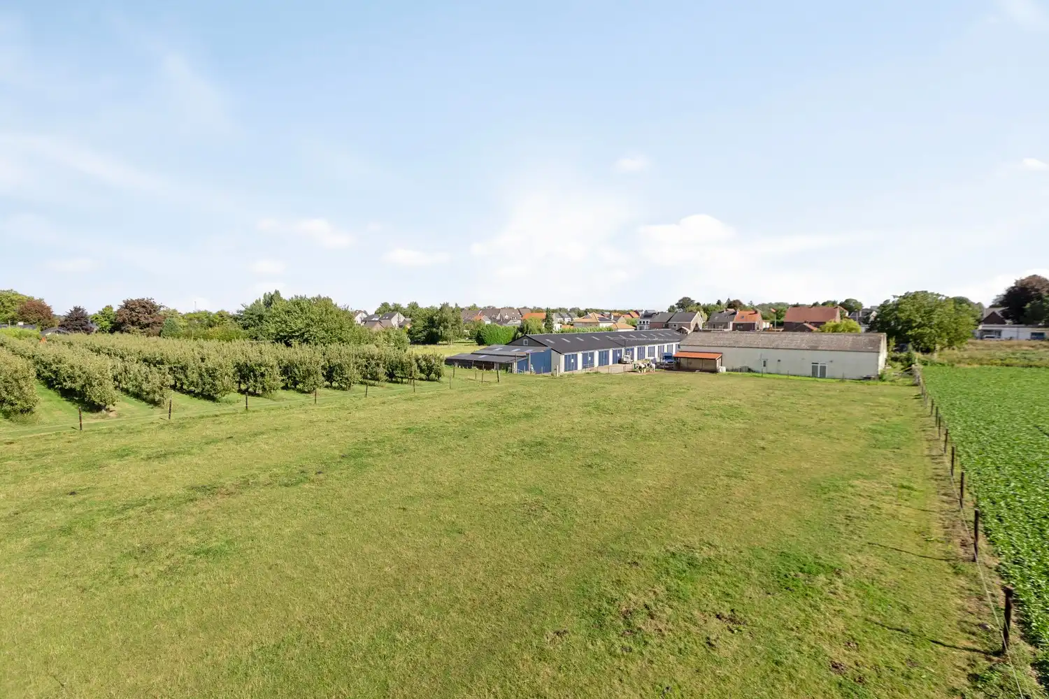 Twee percelen grond met loodsen te koop – Strategisch gelegen langs de Maastrichtersteenweg in Riemst foto 8