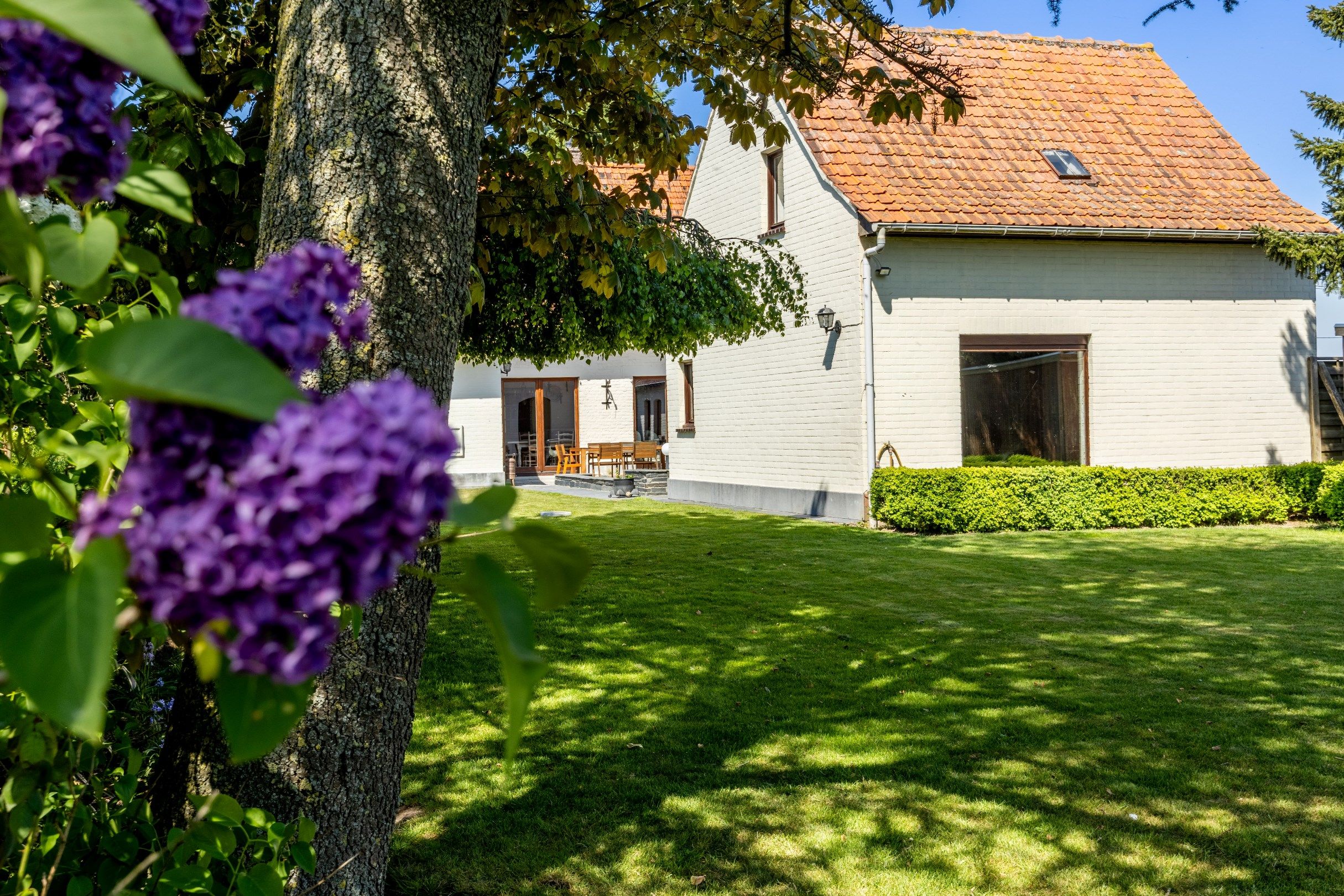 CHARME LANDHUIS  GELEGEN OP 1534 M² foto 3