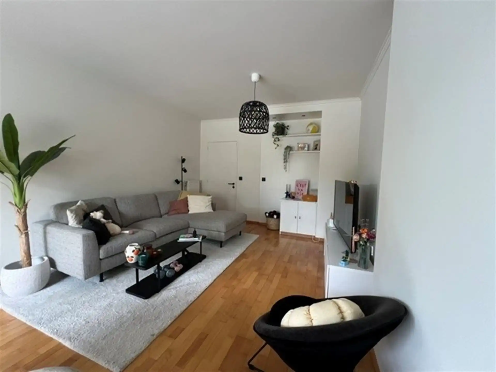 gelijkvloersappartement nabij Schoonselhof foto 4