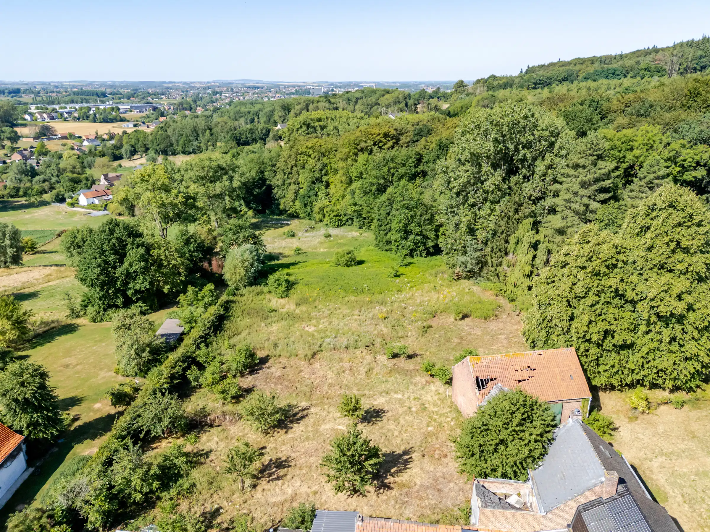 Uitzonderlijke bouwgrond met 14.220 m² aan de Kanarieberg foto 4