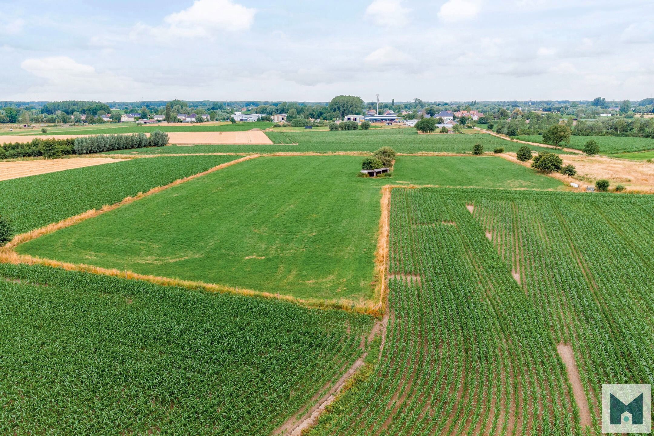 Prachtig weiland van maar liefst 1,864 hectare!  foto 2