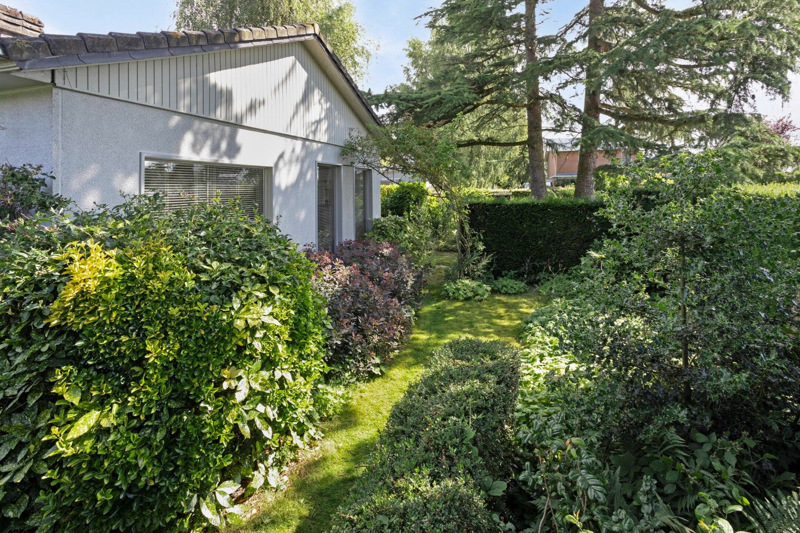 Moderne bungalow in het groen met twee slaapkamers foto 5