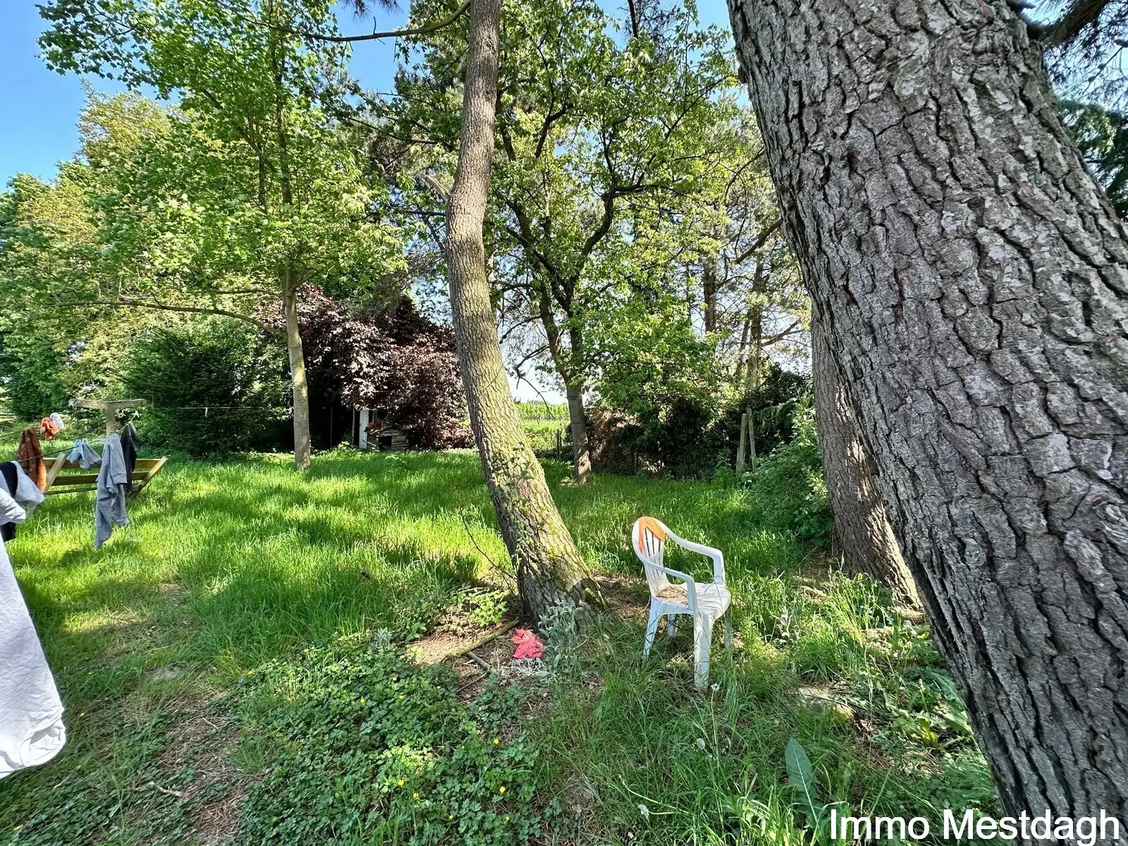 Ruime woning met potentieel op +12a in Geetbets foto 6