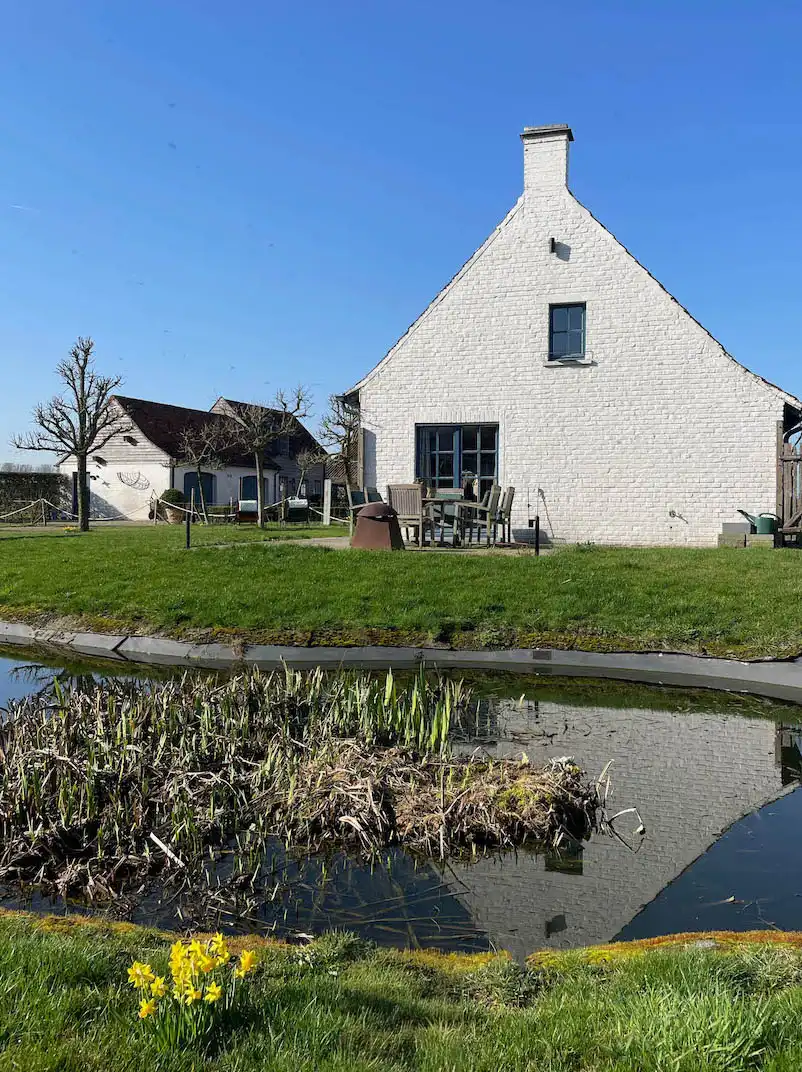 Idyllisch gelegen landgoed, voormalige hoeve, met karakterwoning, vakantieverblijf/boutique B & B met 6 vergunde kamers, parking en weide op circa 1 ha foto 21