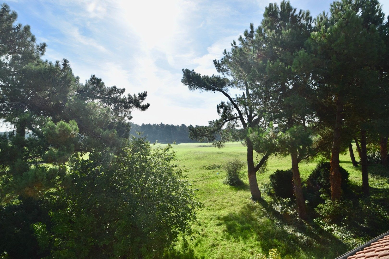 Te renoveren charmante koppelvilla gelegen in een paadje met zicht op de Royal Zoute Golf Club. foto 8