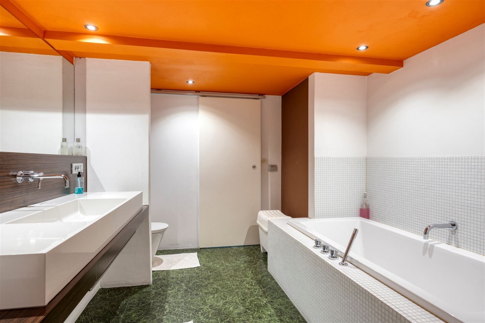 Instapklare loft in deelgemeente Leupegem foto 23