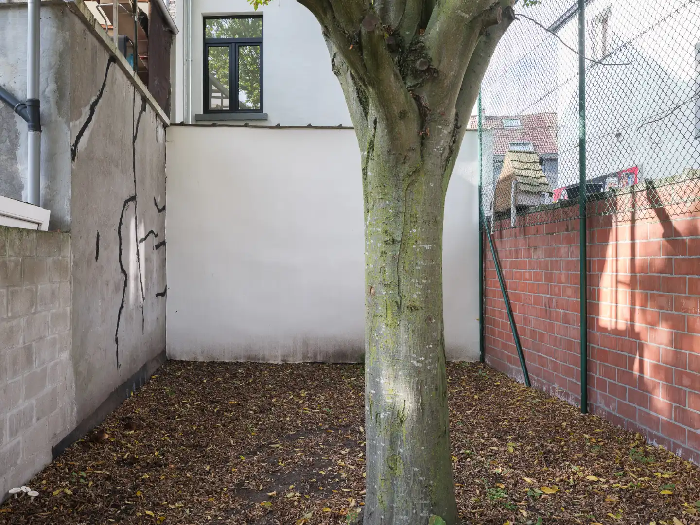 Gerenoveerde woning met drie slaapkamers aan de rand van Gent foto 16