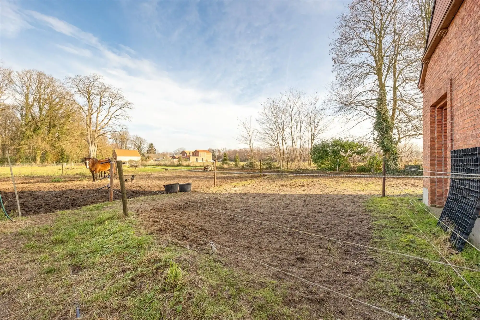 Te renoveren hoeve met enorm veel potentieel foto 3