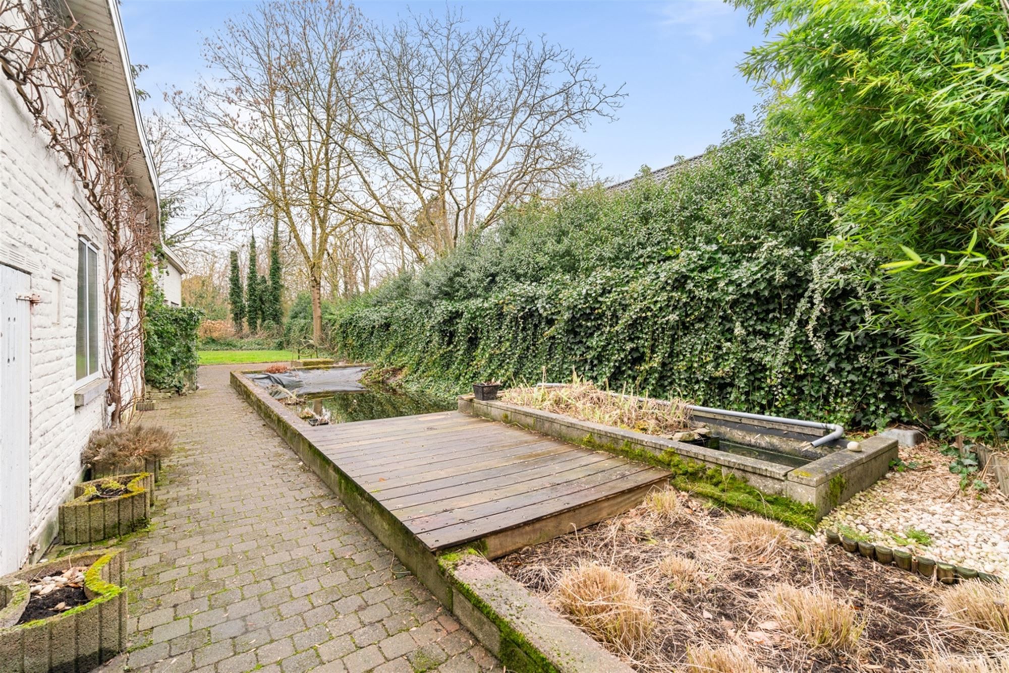 Te renoveren RUIME BURGERSWONING met BIJGEBOUW op een perceel van 668m² foto 6
