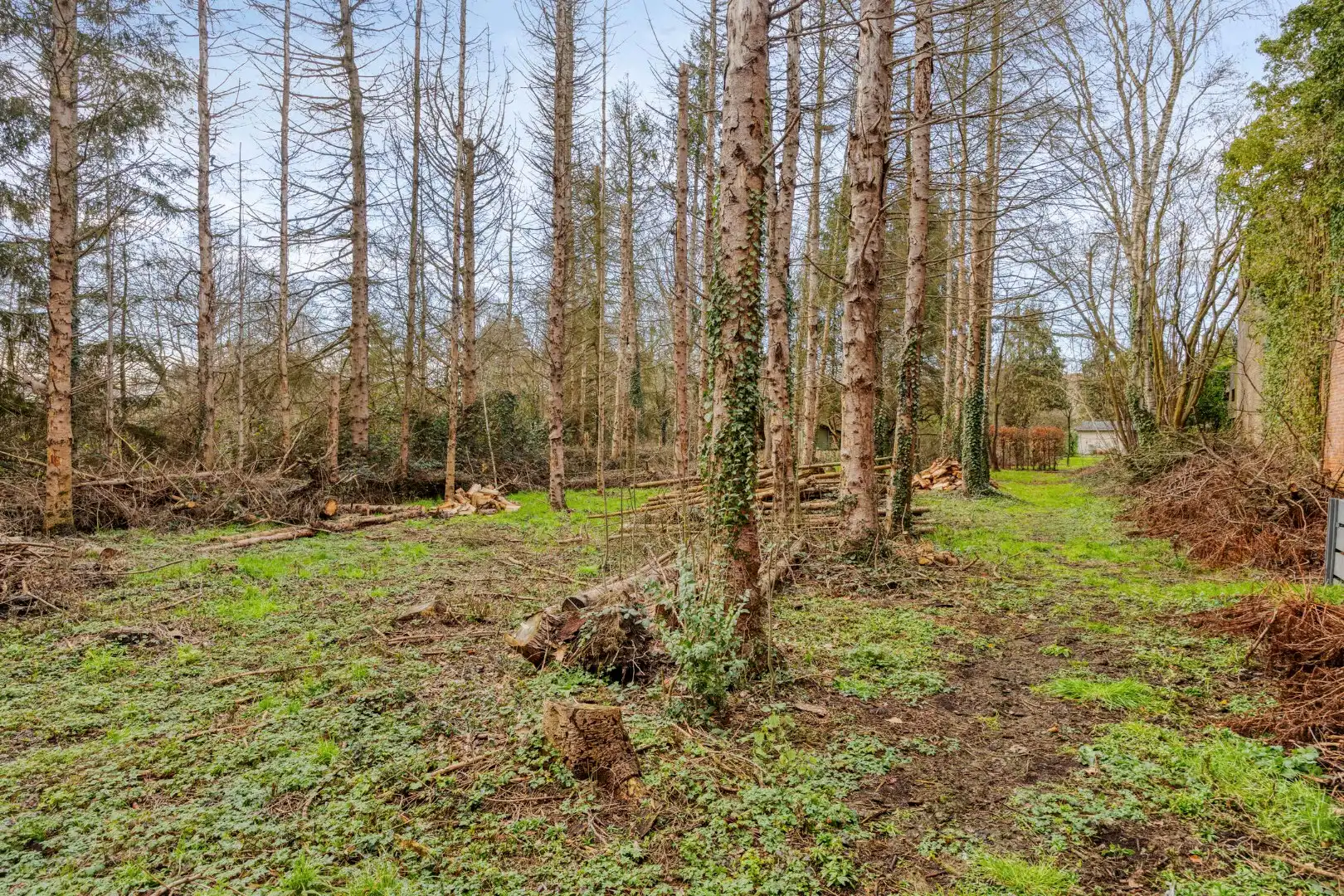 Ruime, instapklare woning met prachtig karakter en unieke tuin (29a40ca) !  foto 33