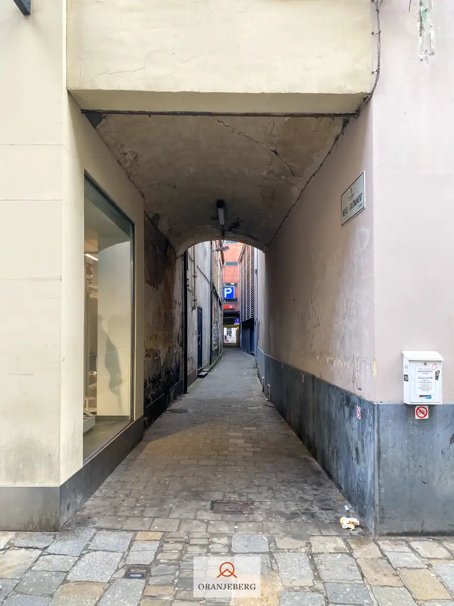 Lichtrijk appartement vlakbij Kouter foto 26