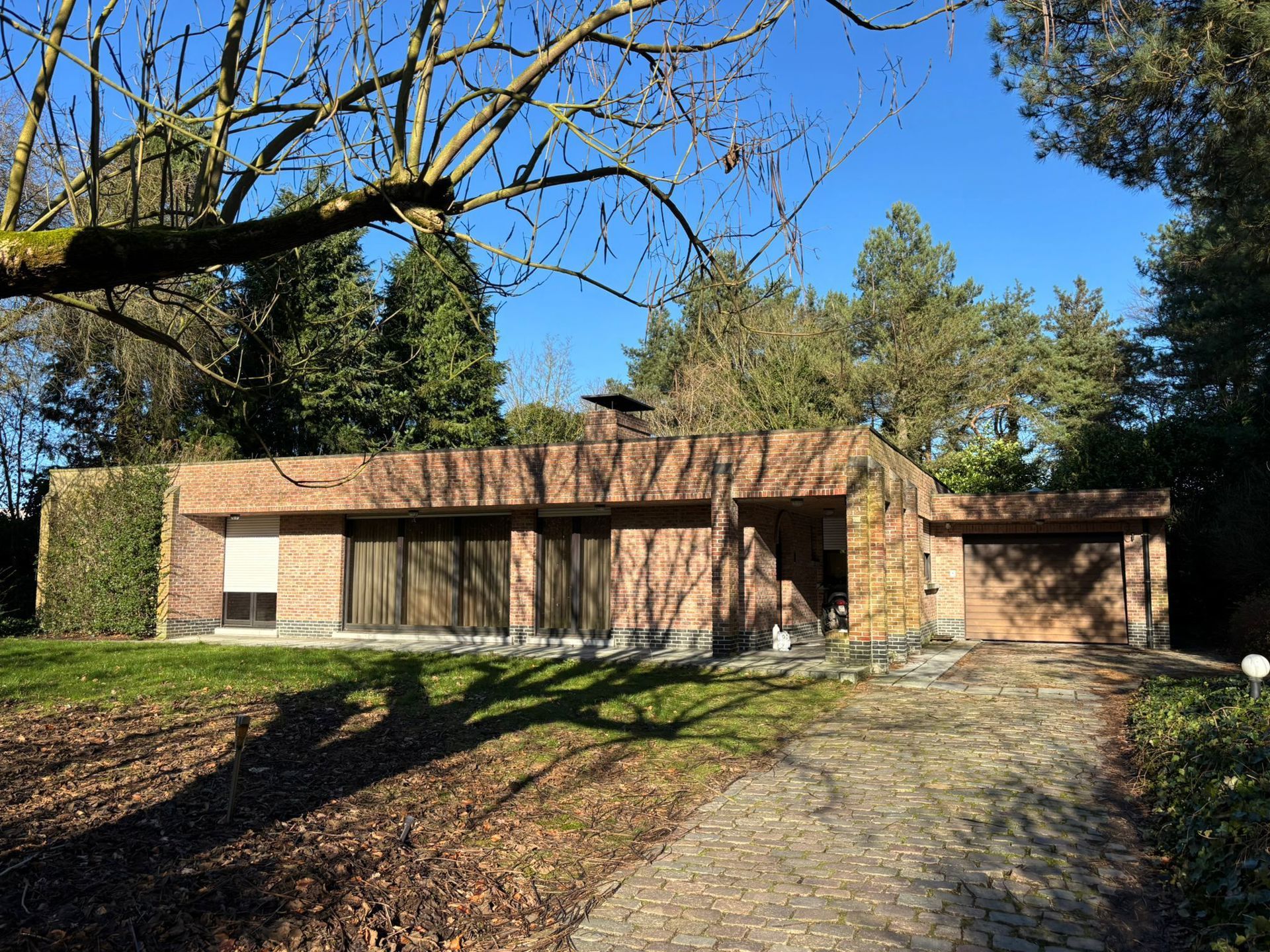 Ruime gelijkvloerse woning foto 2