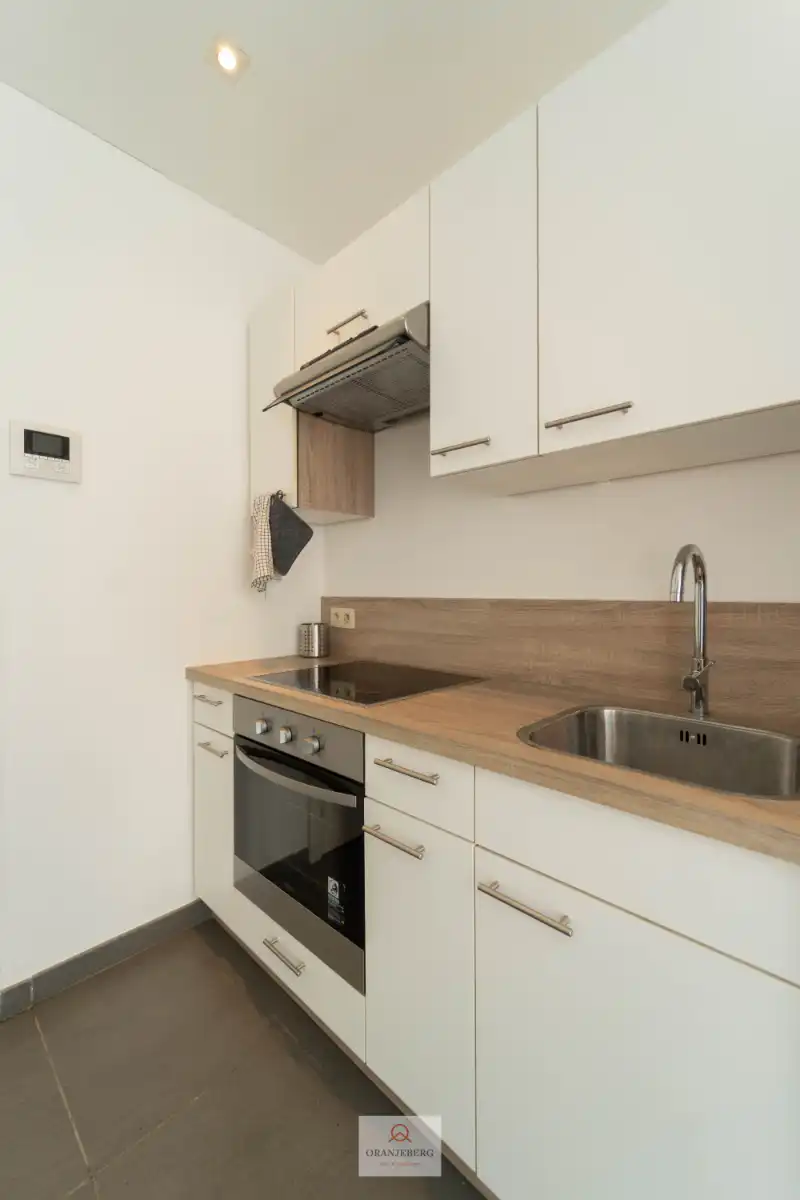Studio + autostaanplaats te huur vlakbij Gent-Sint-Pietersstation foto 10
