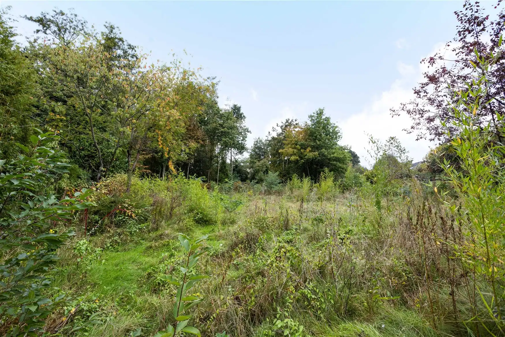 Bouwgrond met eigen bos op +4.000 m² in Eke foto 8