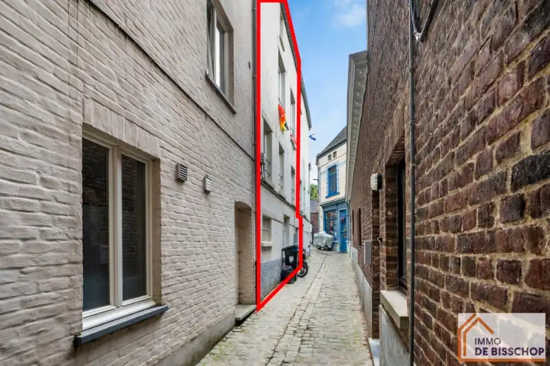 Huis te koop Boerenhol 2 - 9500 Geraardsbergen