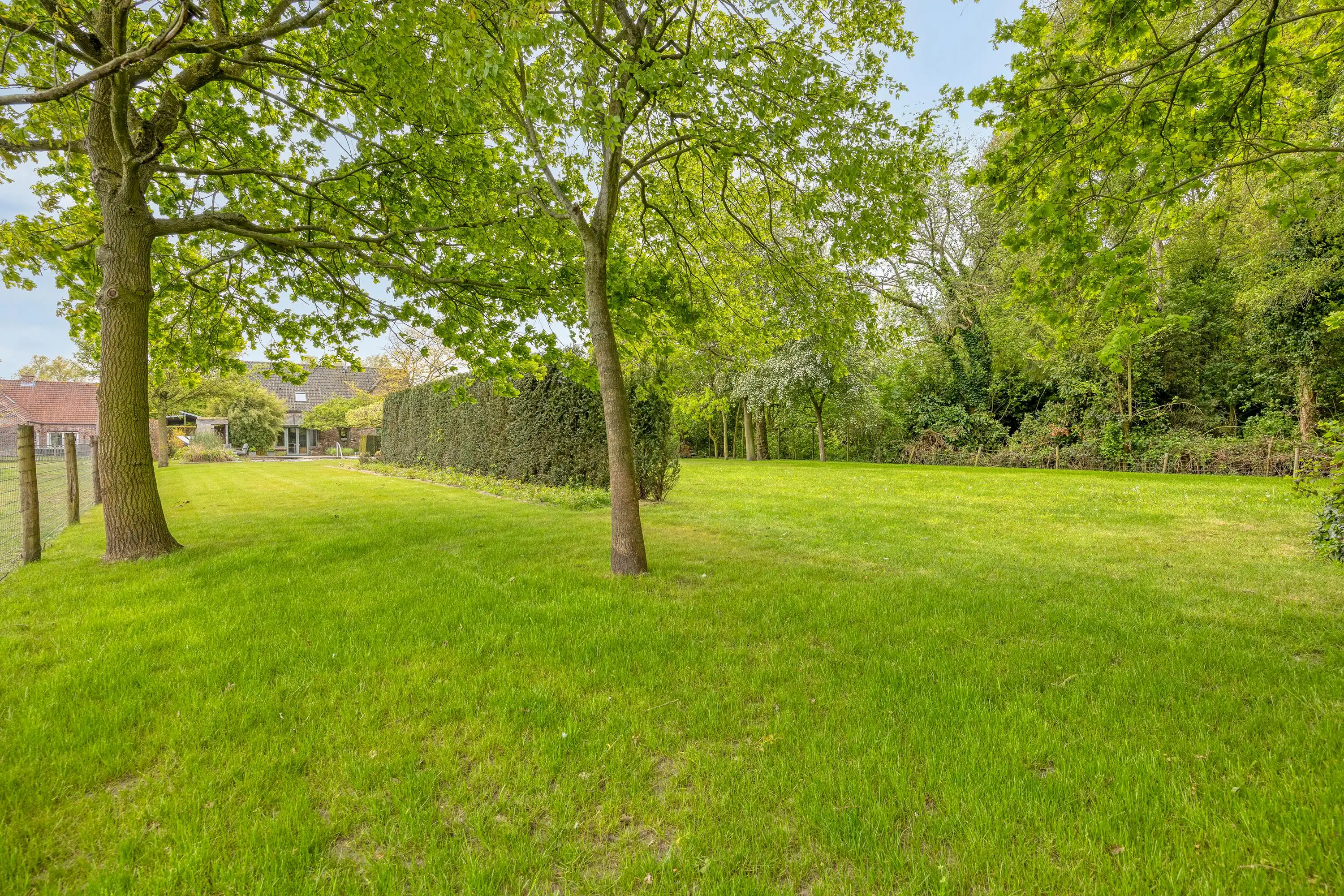 Vrijstaand huis met bijgebouw op perceel van 4012m² te Moerkerke foto 10