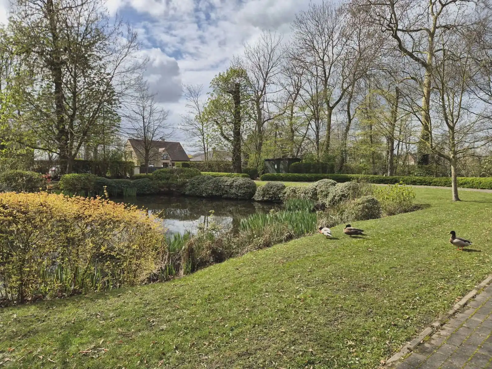 Prachtig dakappartement met 2 slaapkamers en garage foto 20