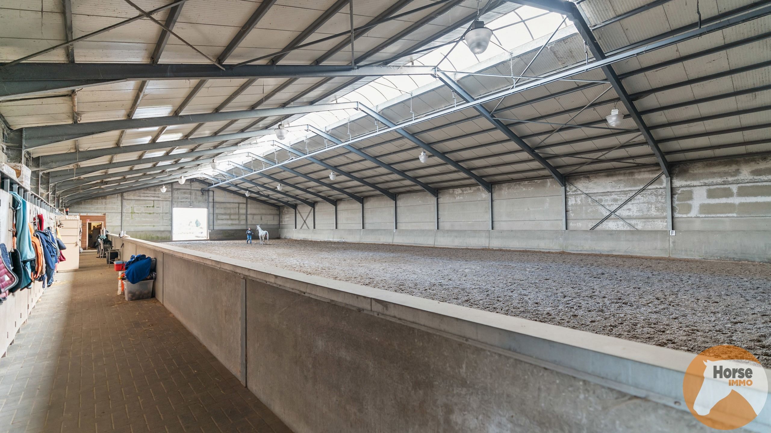 KAMPENHOUT - Professionele paardenaccommodatie op 4ha28 foto 6