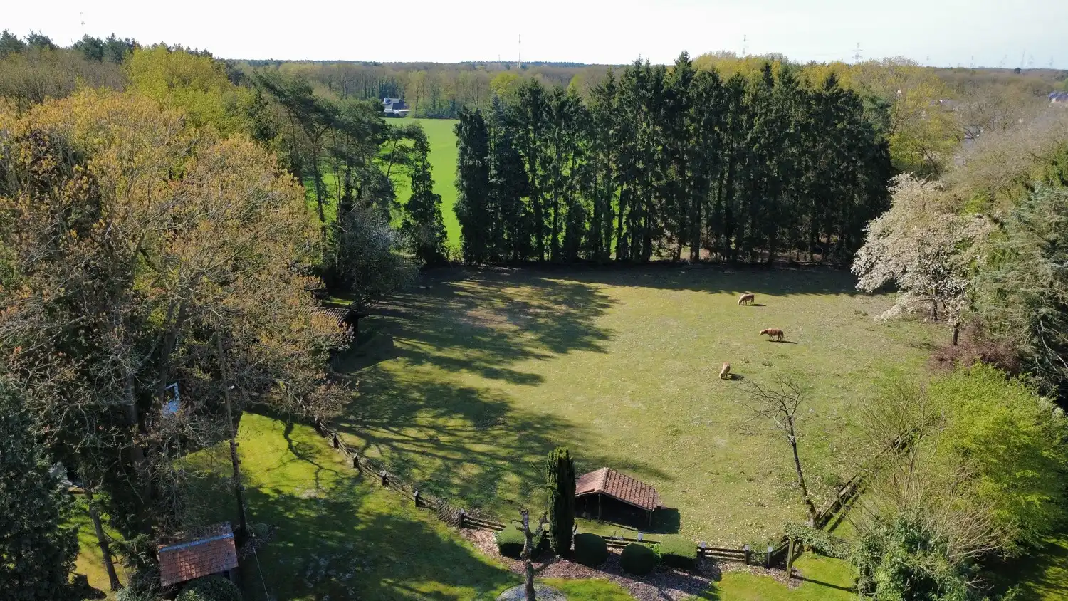 Uniek gelegen vrijstaande gezinswoning met 3 slaapkamers midden in de natuur op een perceel van 54 are in As centrum! foto 3