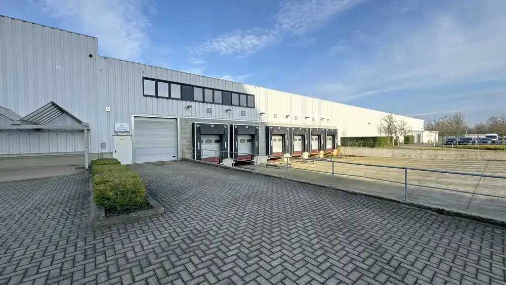 Logistieke loods met laadkades te huur nabij E19 in Kontich foto {{pictureIndex}}