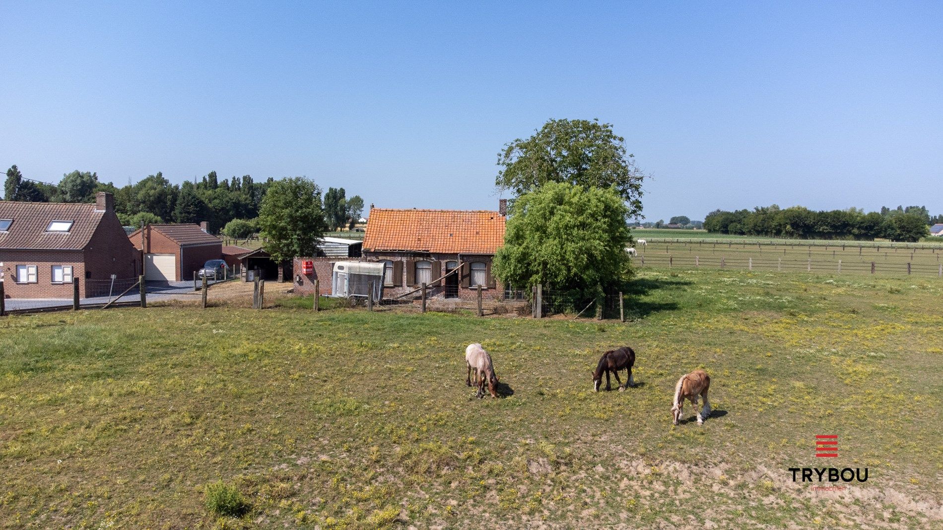 Landelijke, te renoveren woning op 9245 m² in Houthulst op rustige ligging foto 6