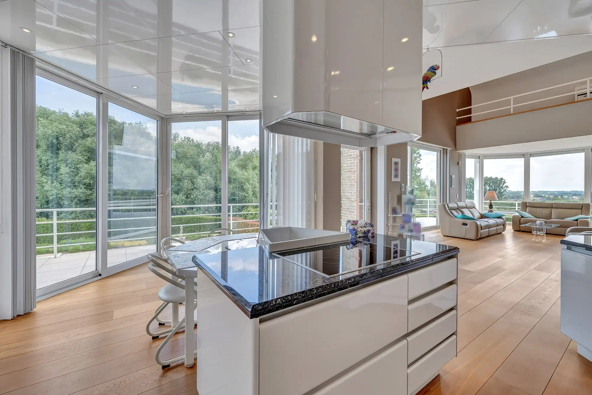 Unieke villa met zwembad, op riant perceel van 53 a 28 ca foto 11