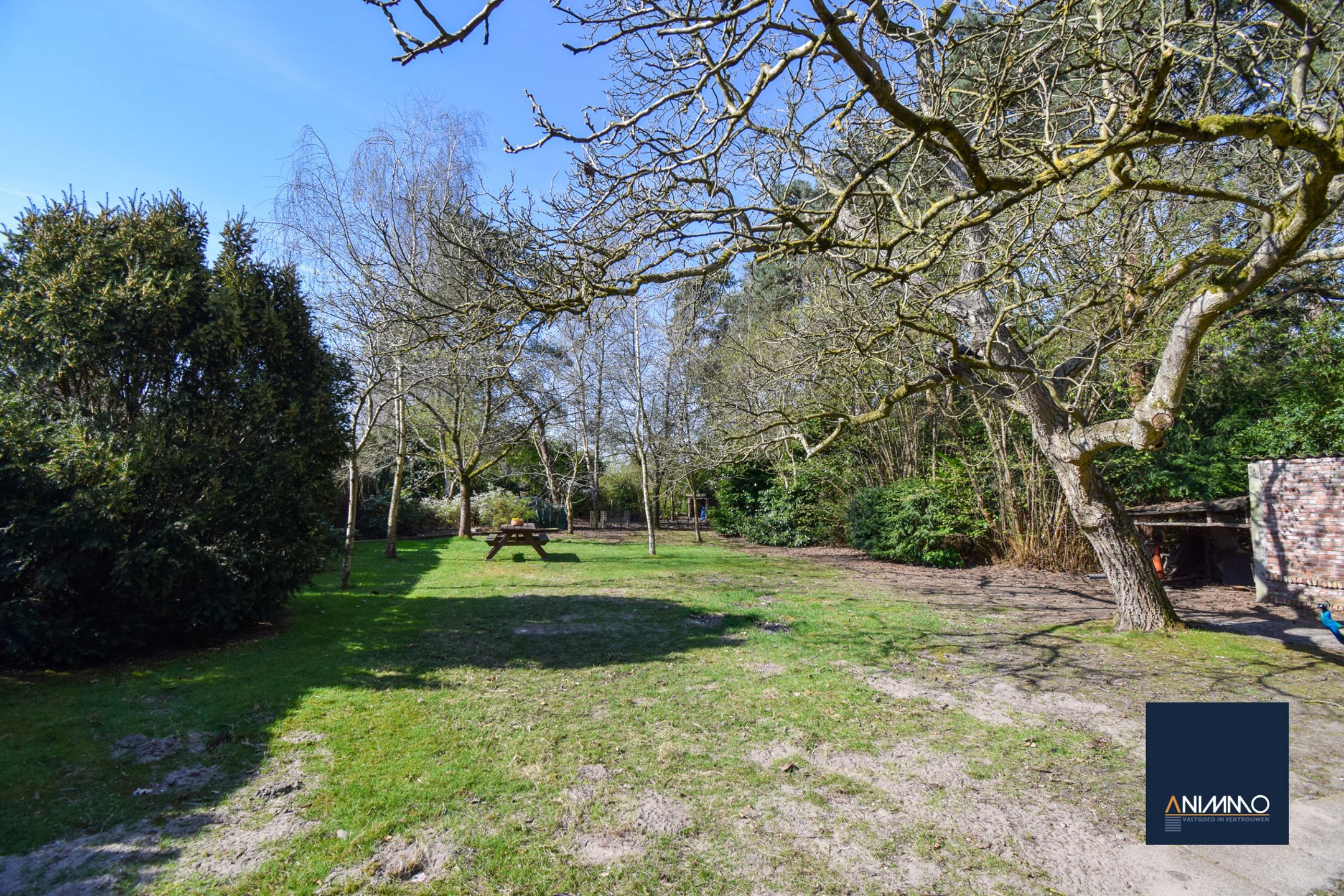 Huis te koop foto 36