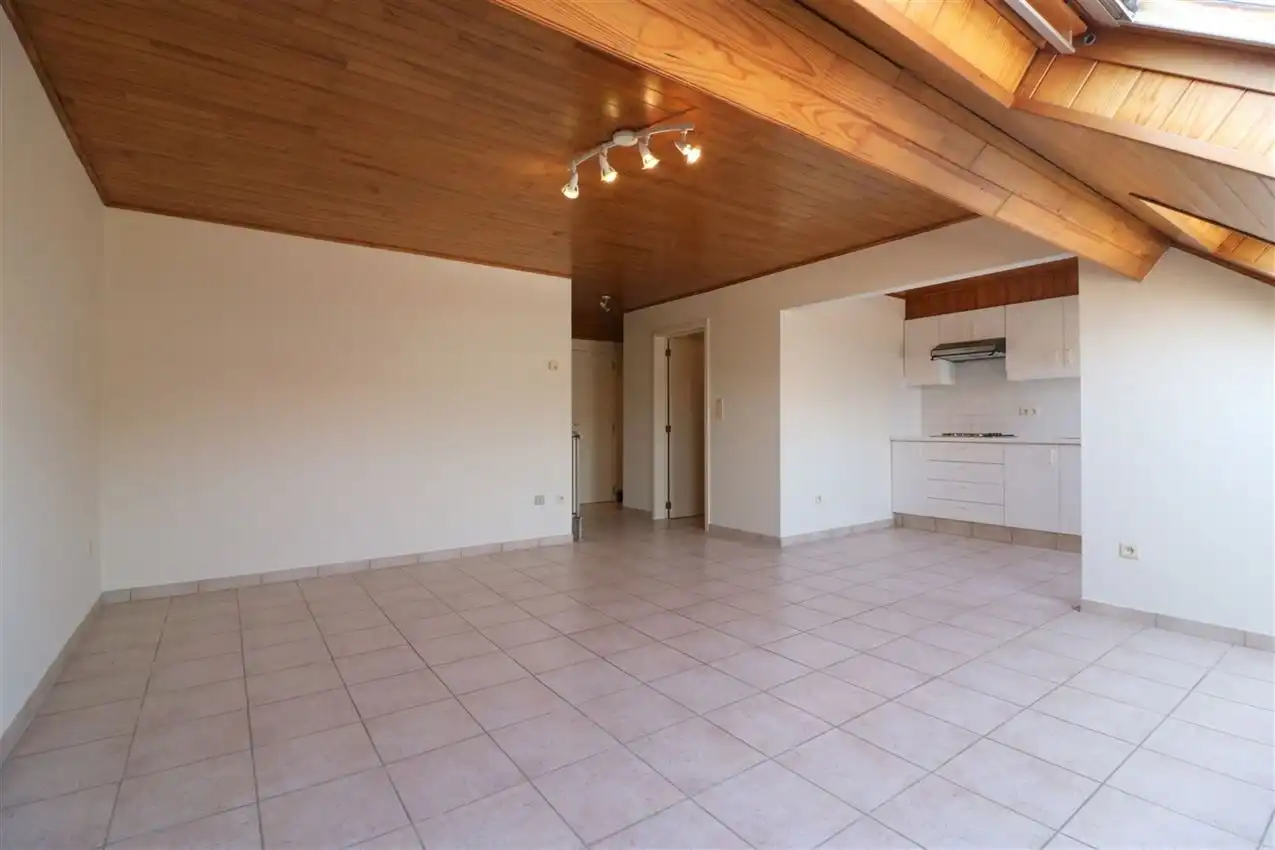 Gezellig dakappartement, grote leefruimte, 1 slpk. en garage  foto 4