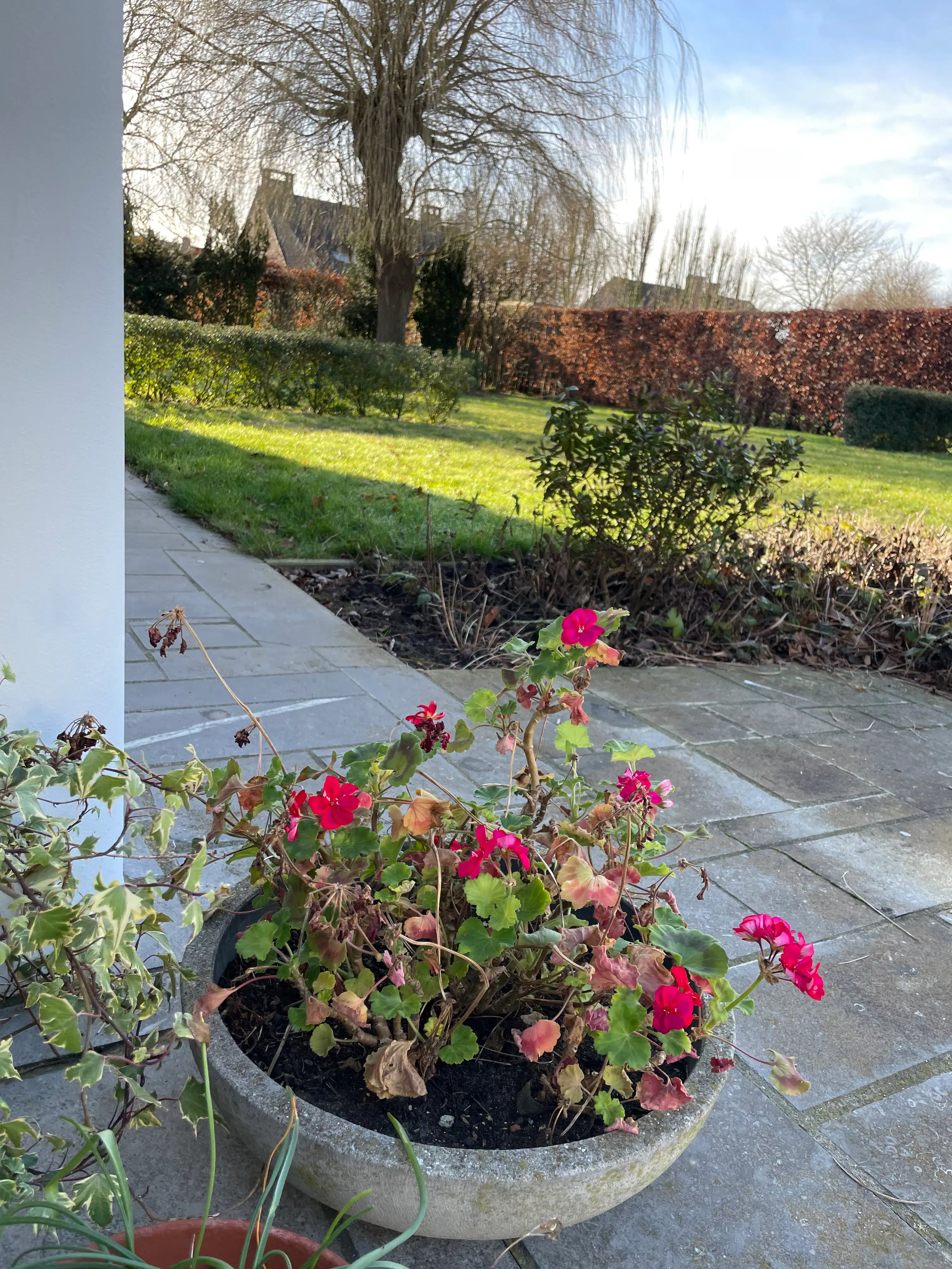 VILLA op toplocatie foto 50