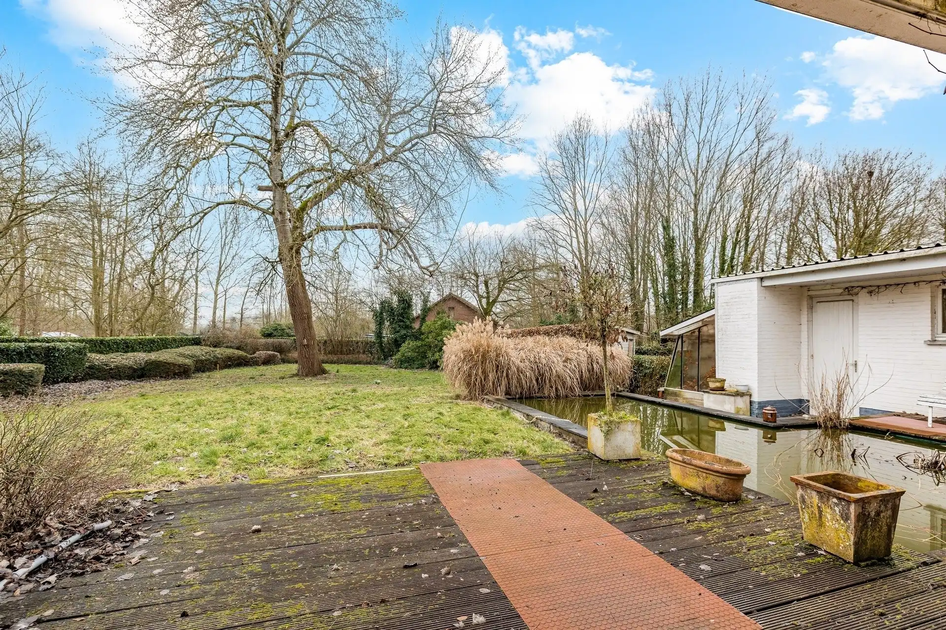 Karaktervolle open bebouwing op 1.094 m² met uitbreidingsmogelijkheden in Gijzegem foto 6