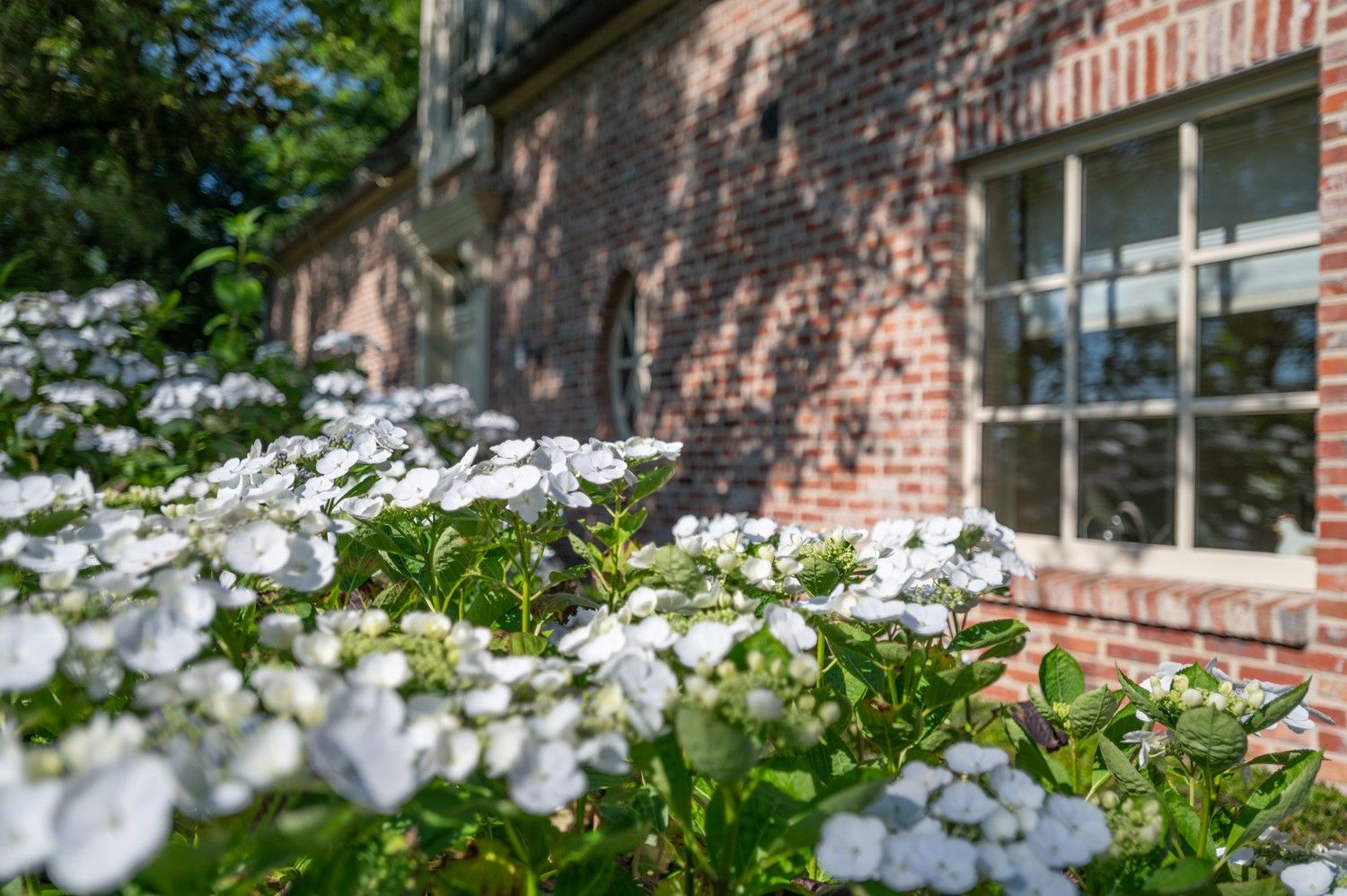 Prachtige tijdloze villa op een aangenaam en zongericht perceel van 2.394 m² te Schilde. foto 33