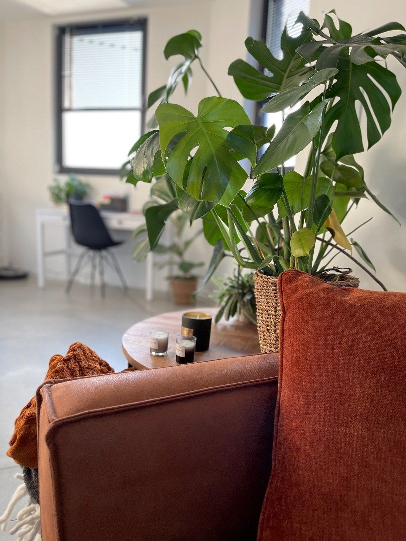 Woning te huur met 3 slpks en binnenkoer te Halle foto 8