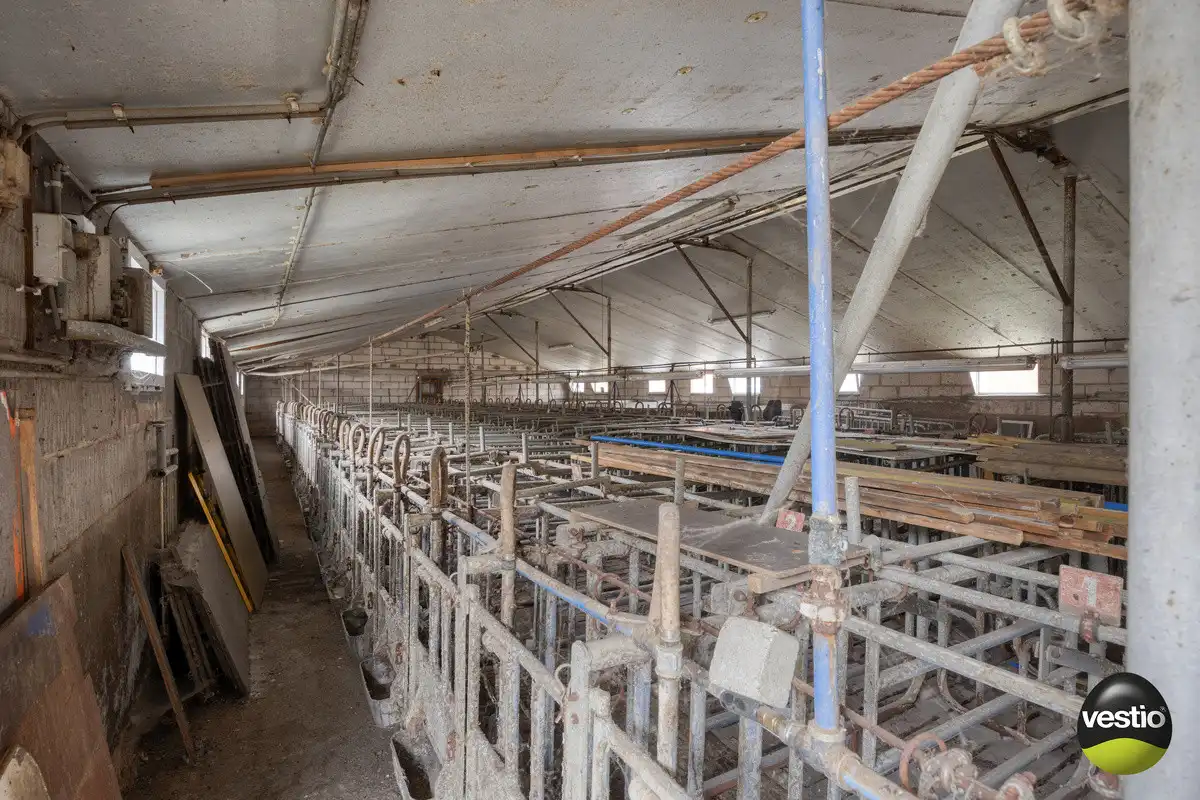 VIERKANTSHOEVE MET 4 BIJHORENDE VARKENSSTALLEN TE SINT-HUIBRECHTS-HERN op 65A79CA. foto 30