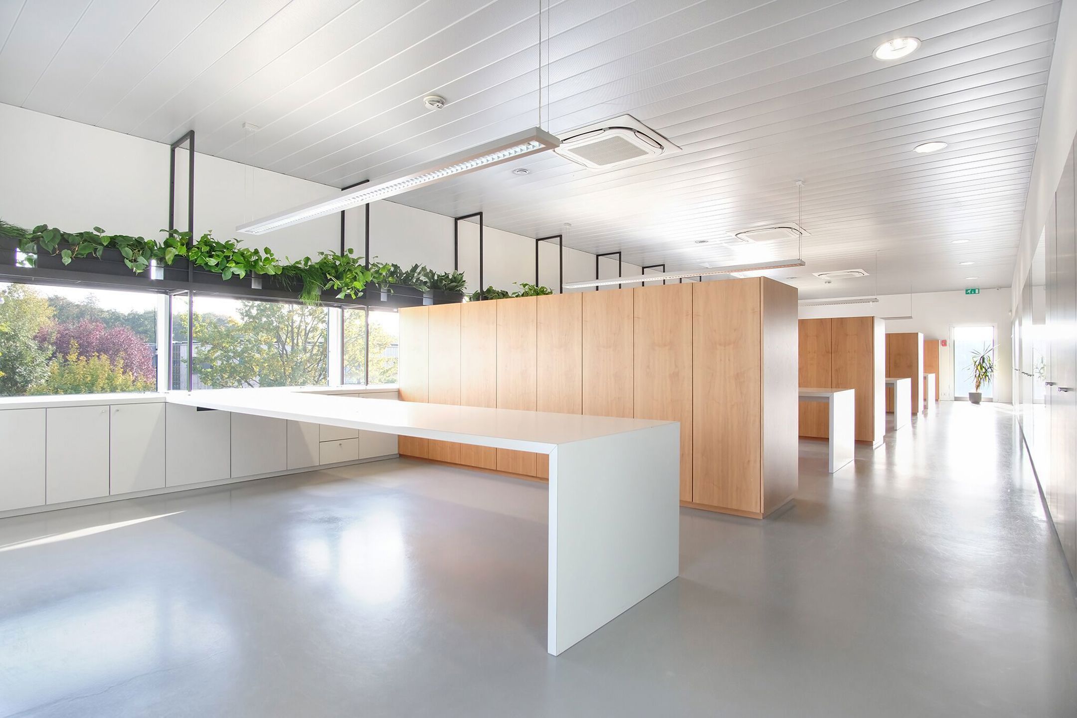 KANTOORRUIMTE TE HUUR foto 6