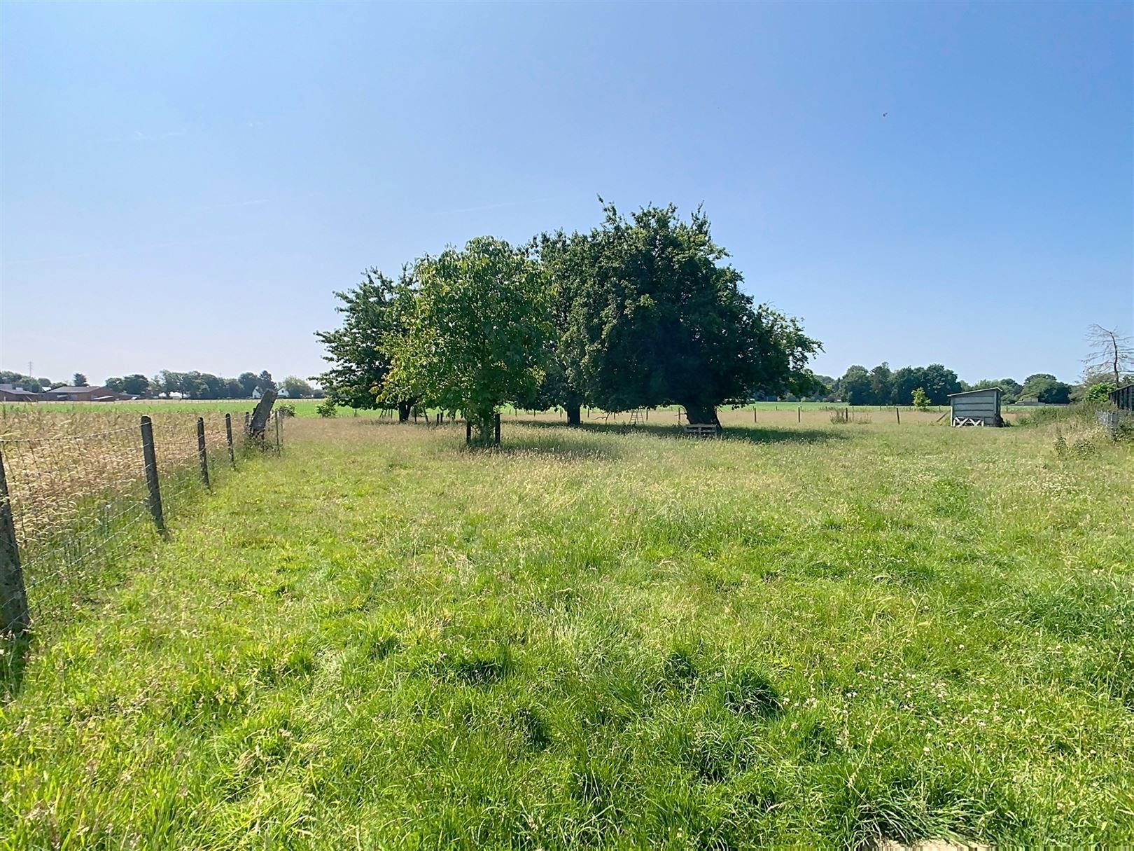 Ruime landelijke woning, bijgebouw, tuin en weide, 75a 79ca foto 9