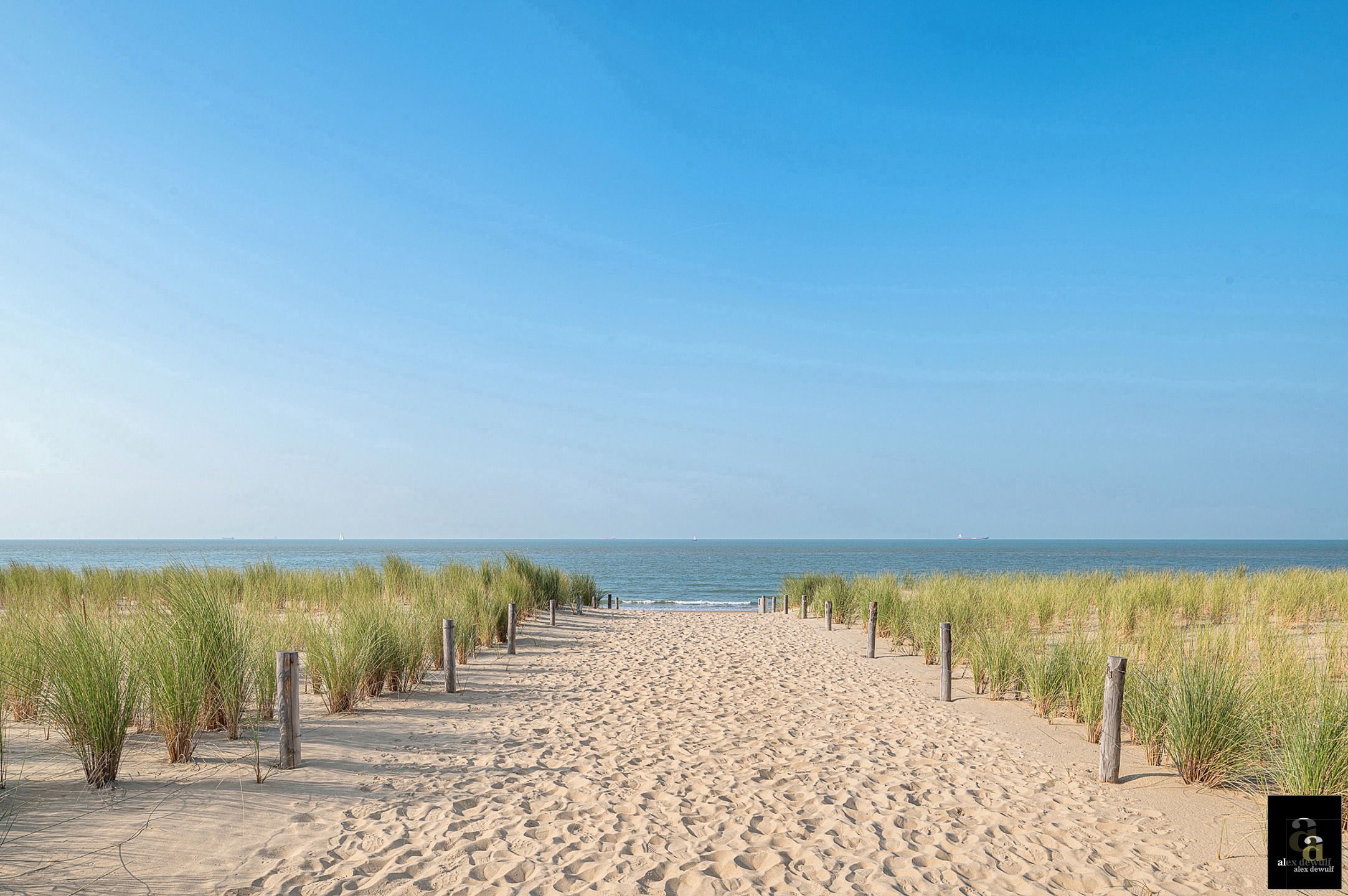 Stijlvol appartement met zeezicht op de Zeedijk [Rubensplein] foto 11