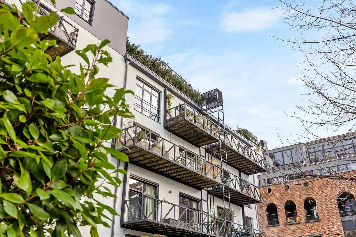 Uitzonderlijke loft 200m² + aangelegde daktuin, terras en 2 optionele garages in rustig, groen woonerf op de grens Borgerhout/Antwerpen foto 2