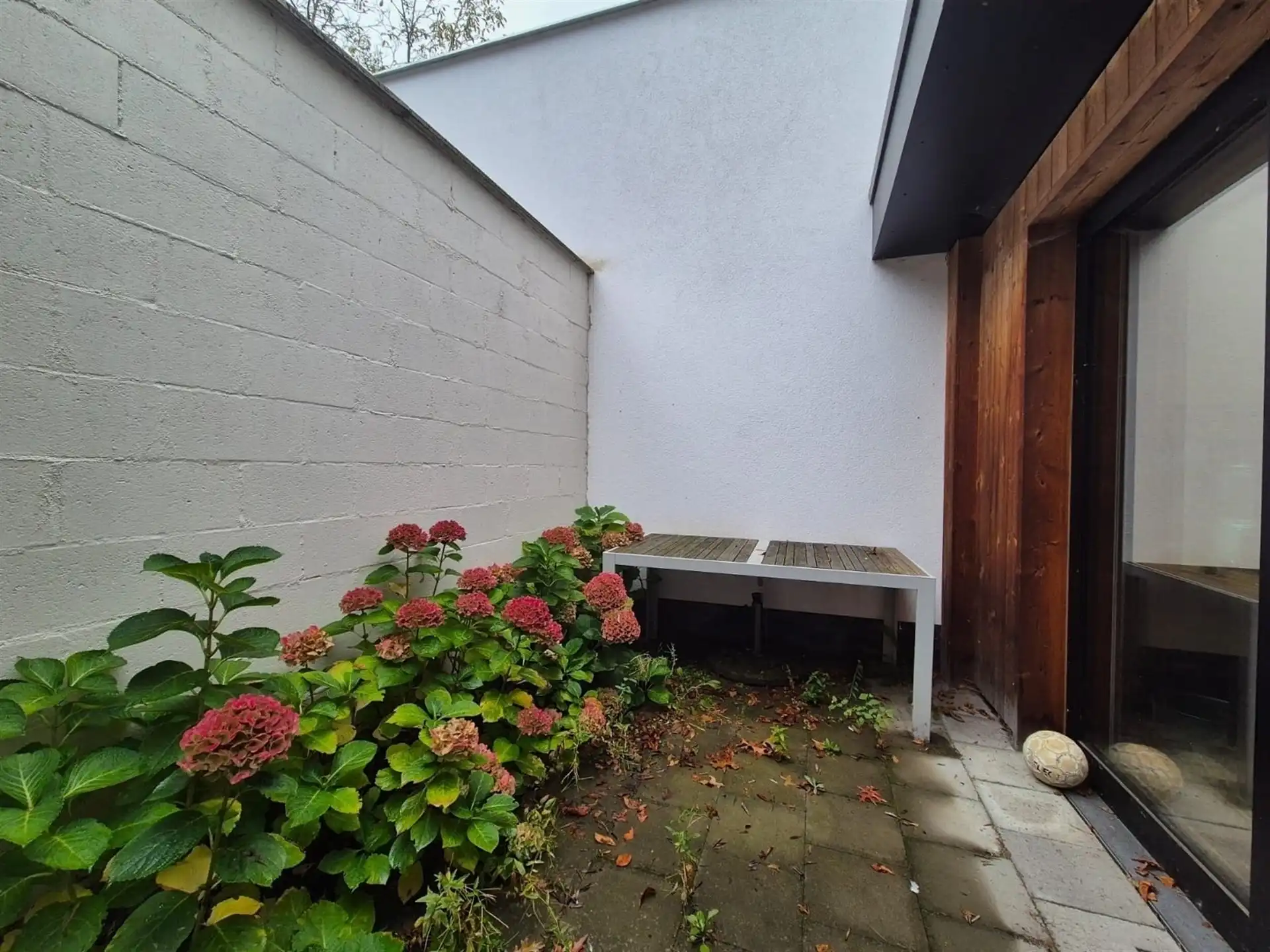 Gelijkvloerse kantoorruimte met kelder en terras. foto 18