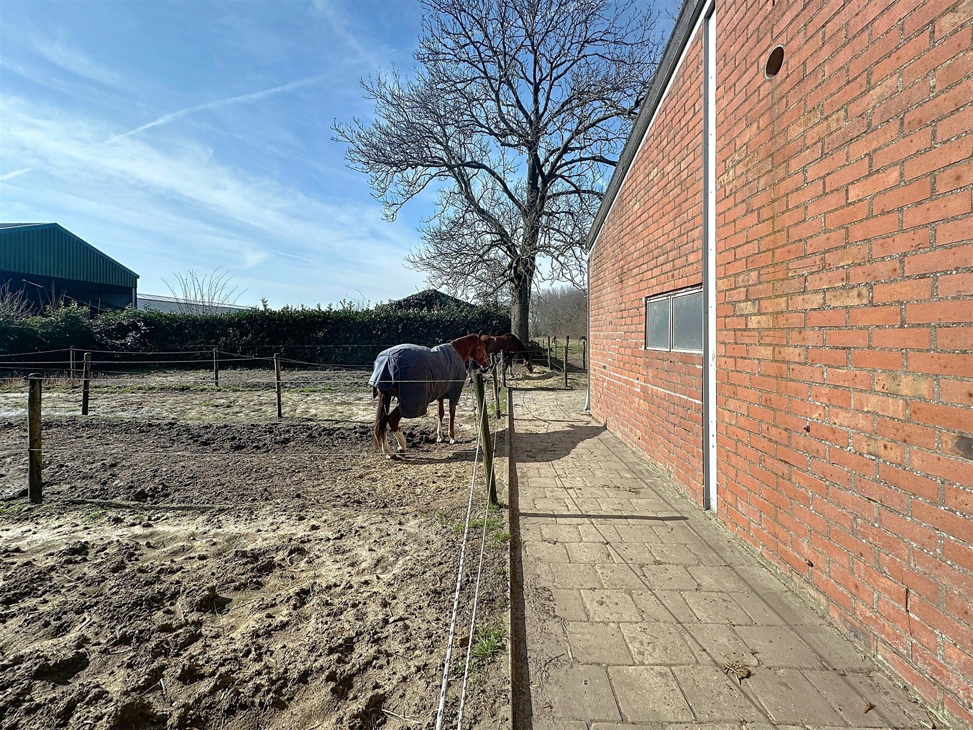 PRACHTIG GELEGEN HOEVE met bijgebouw, paardenstallen, binnenpiste en weiden op 18.385m² foto 42
