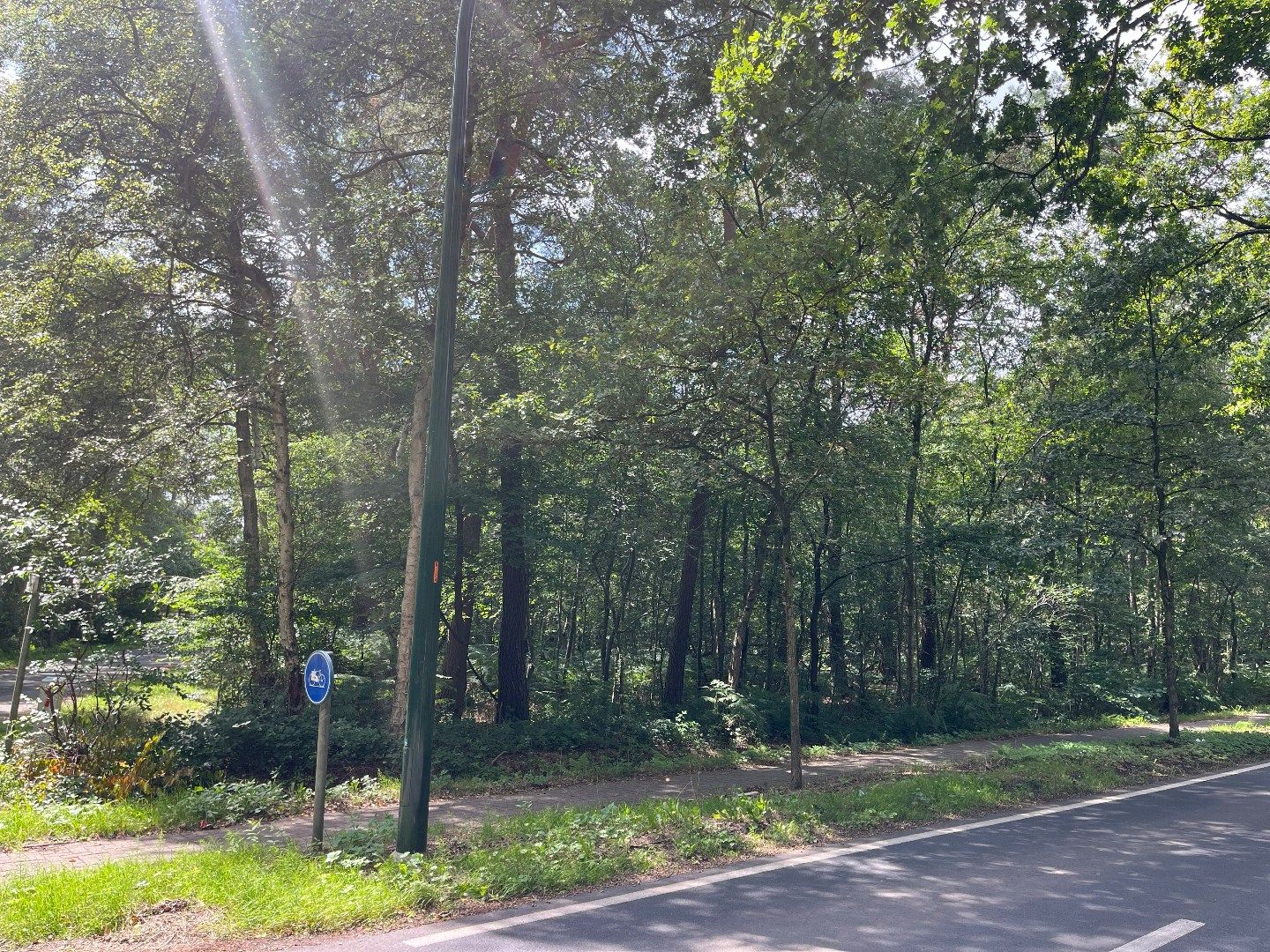 Uitgestrekt natuurgebied op een uitstekende locatie te Schilde! foto 4