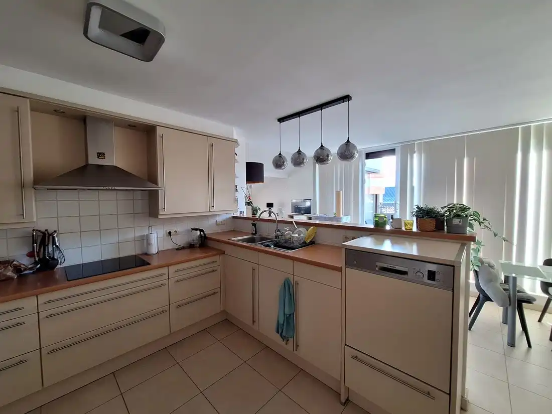 Penthouse aan de Beringse stadsrand foto 10
