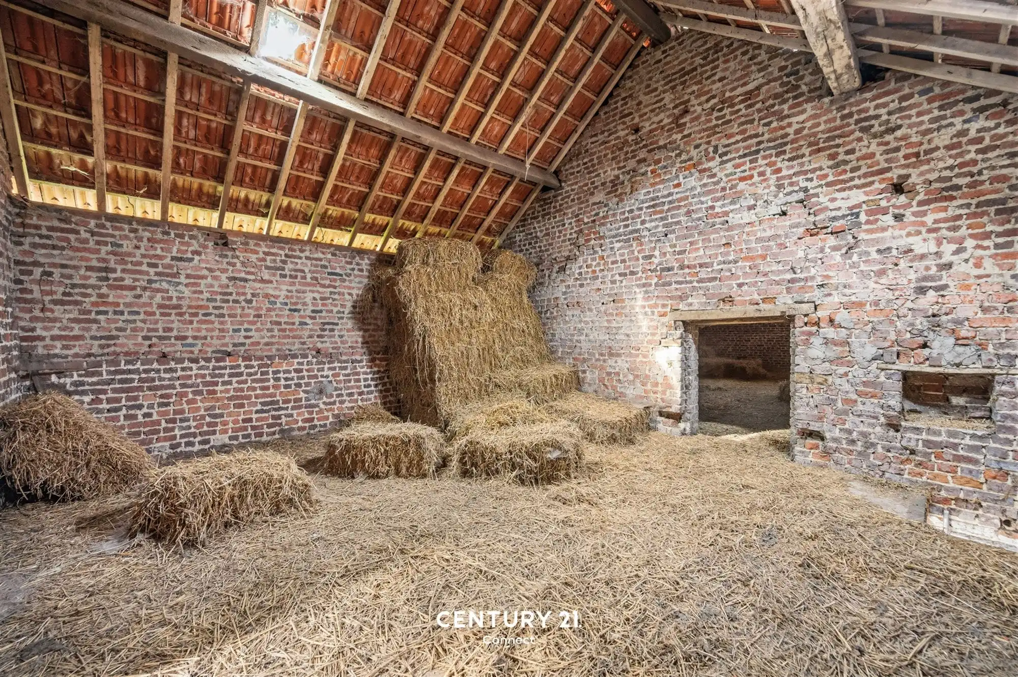 Te renoveren Hoeve te Vissenaken. foto 16