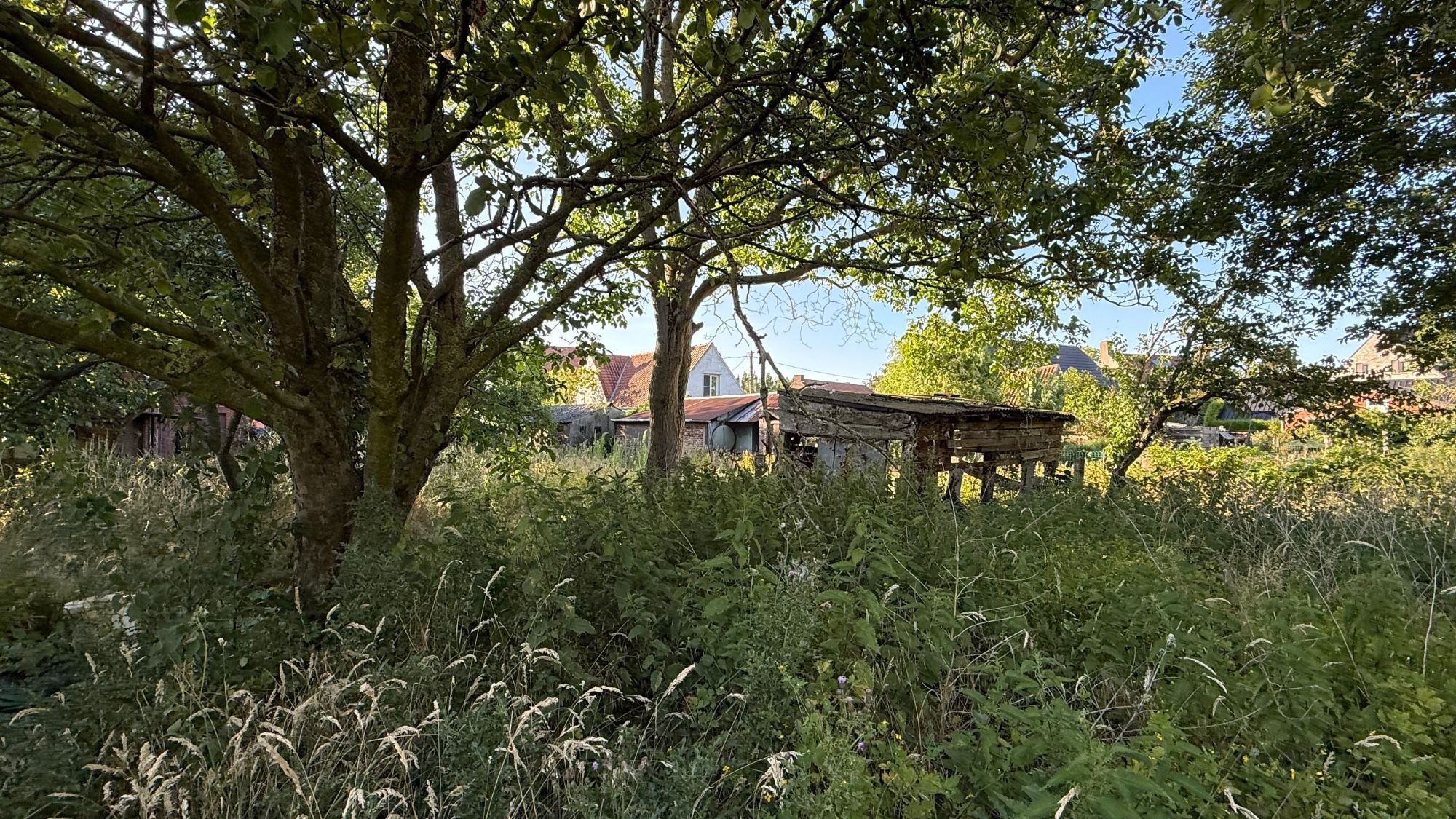 GOED GELEGEN WONING met LANDELIJK UITZICHT op 1789 M² foto 9