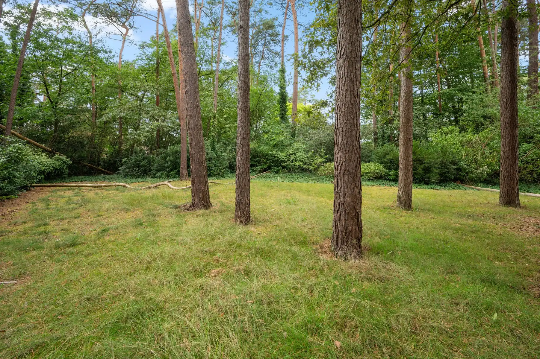Tijdloze villa op 3.114 m2 te KEERBERGEN foto 24