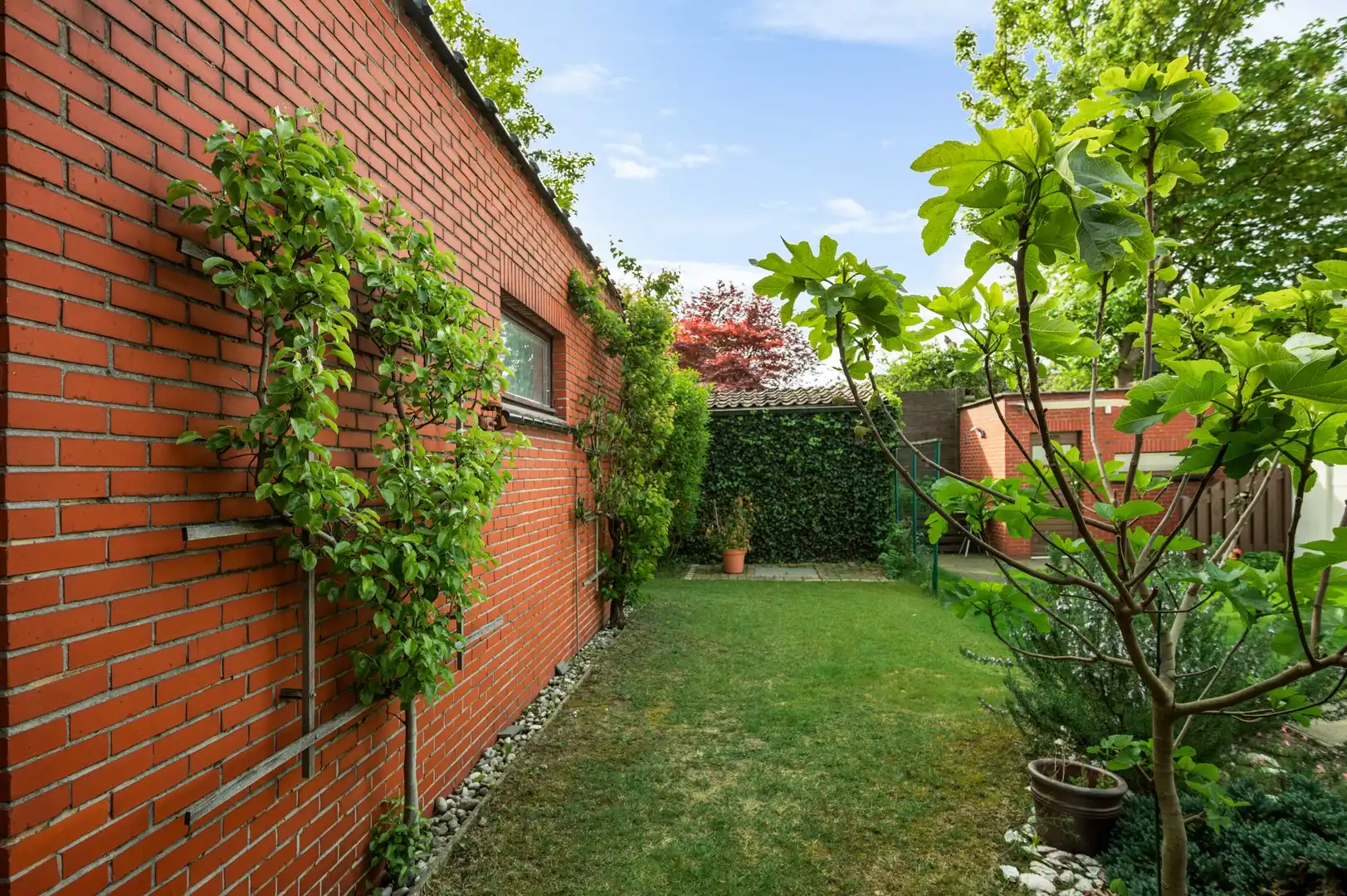 Woning met 4 slpk, garage en zuidgerichte tuin foto 22