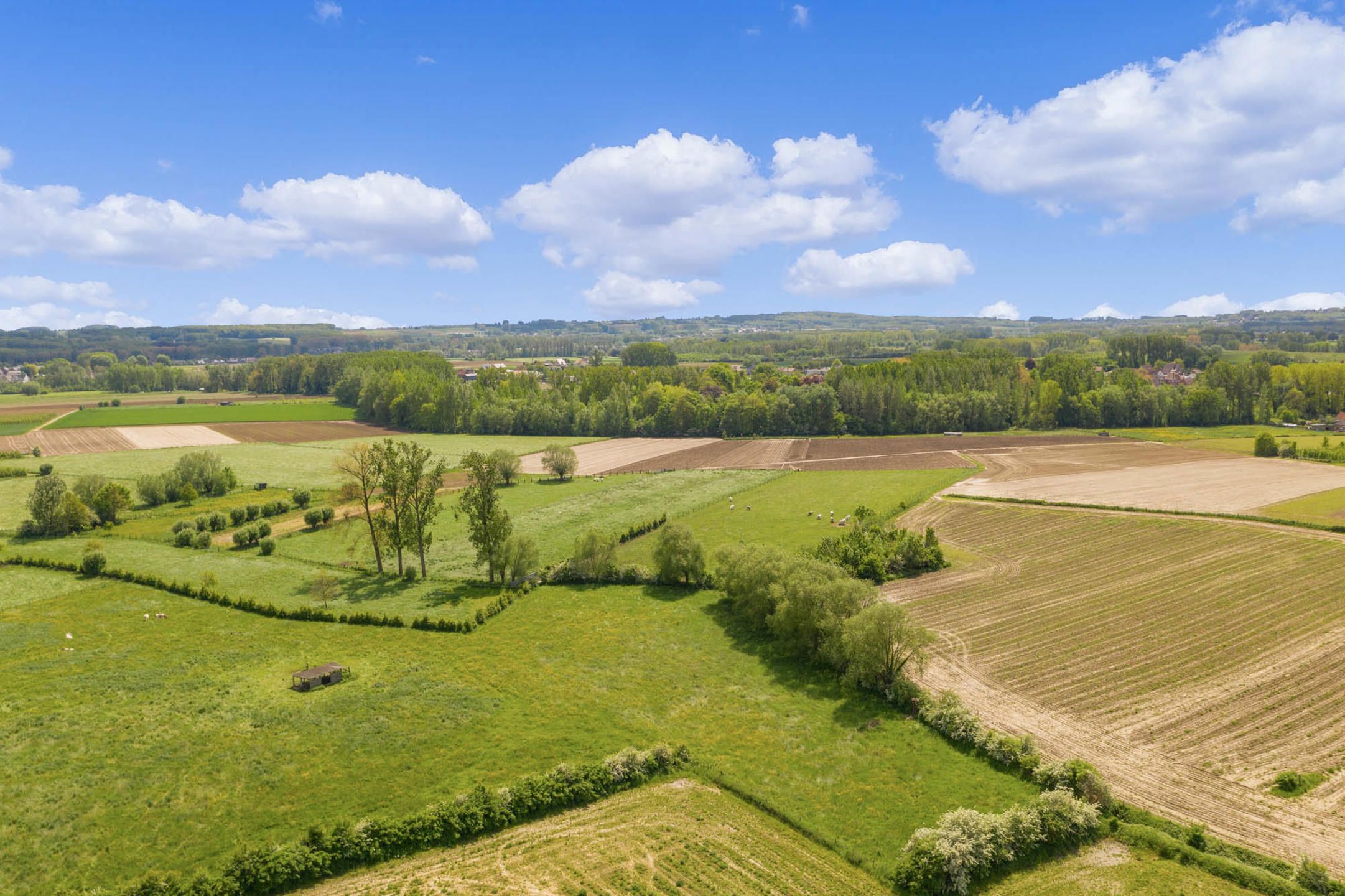 Exclusieve nieuwbouwwoningen foto 6