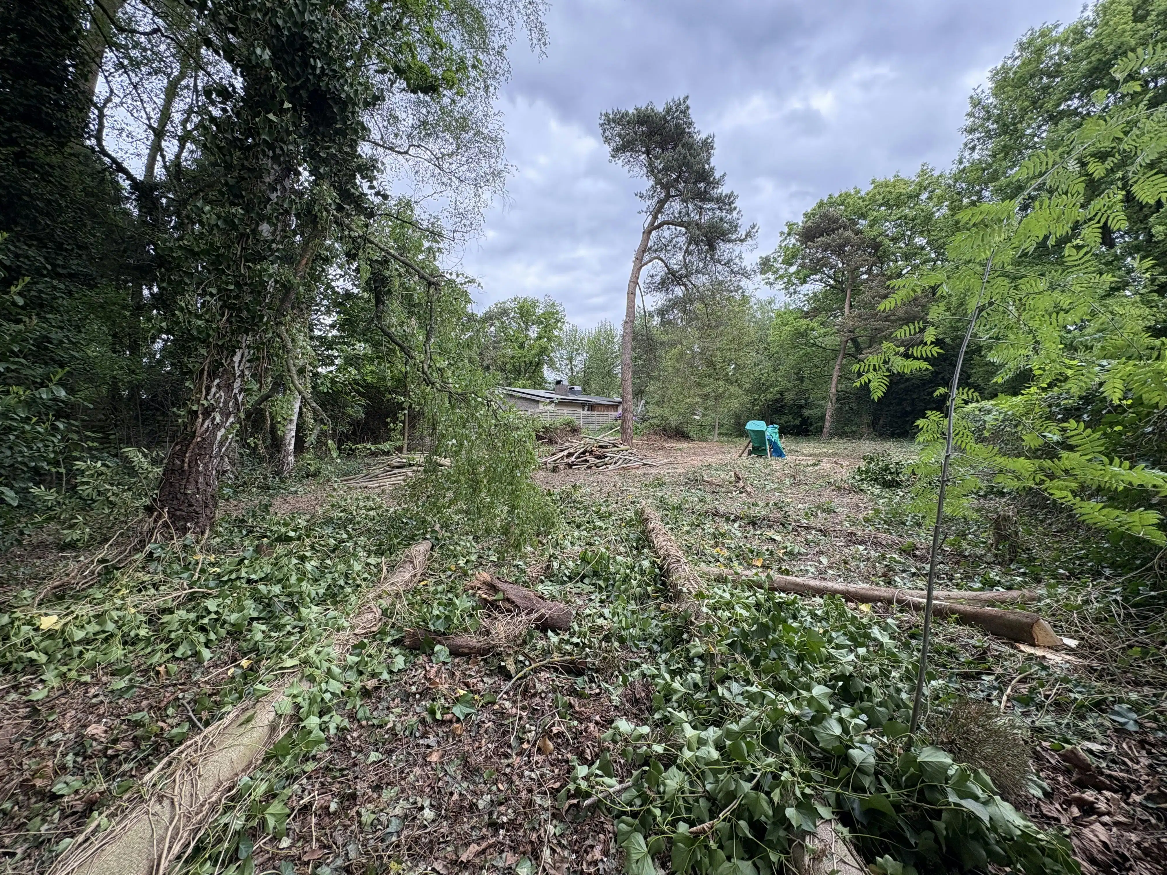 Zeer mooi gelegen bouwperceel van  ca.1750m² te Sint-Job-in't-Goor! foto 6