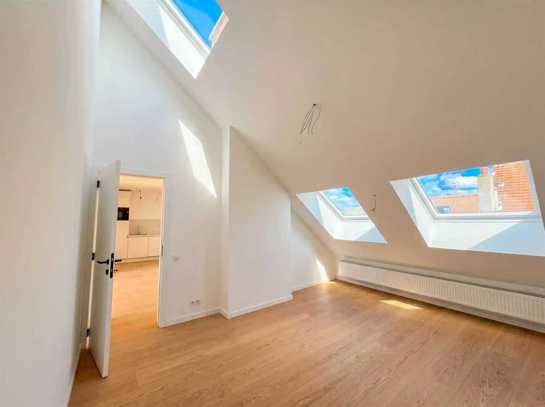 Prachtig gerenoveerd penthouse met 2 slaapkamers en terras nabij Zurenborg foto 6
