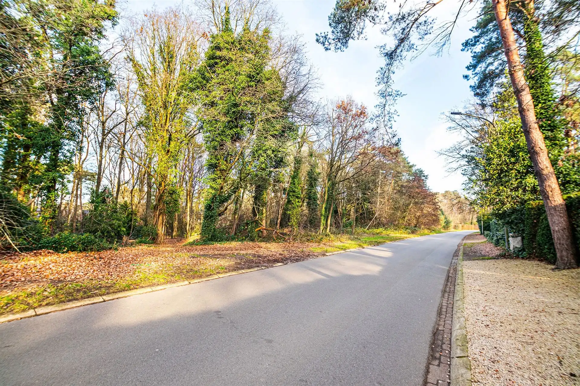 Exclusieve bouwgrond van 4.370 m² in “Golf & Meer”-domein foto 4
