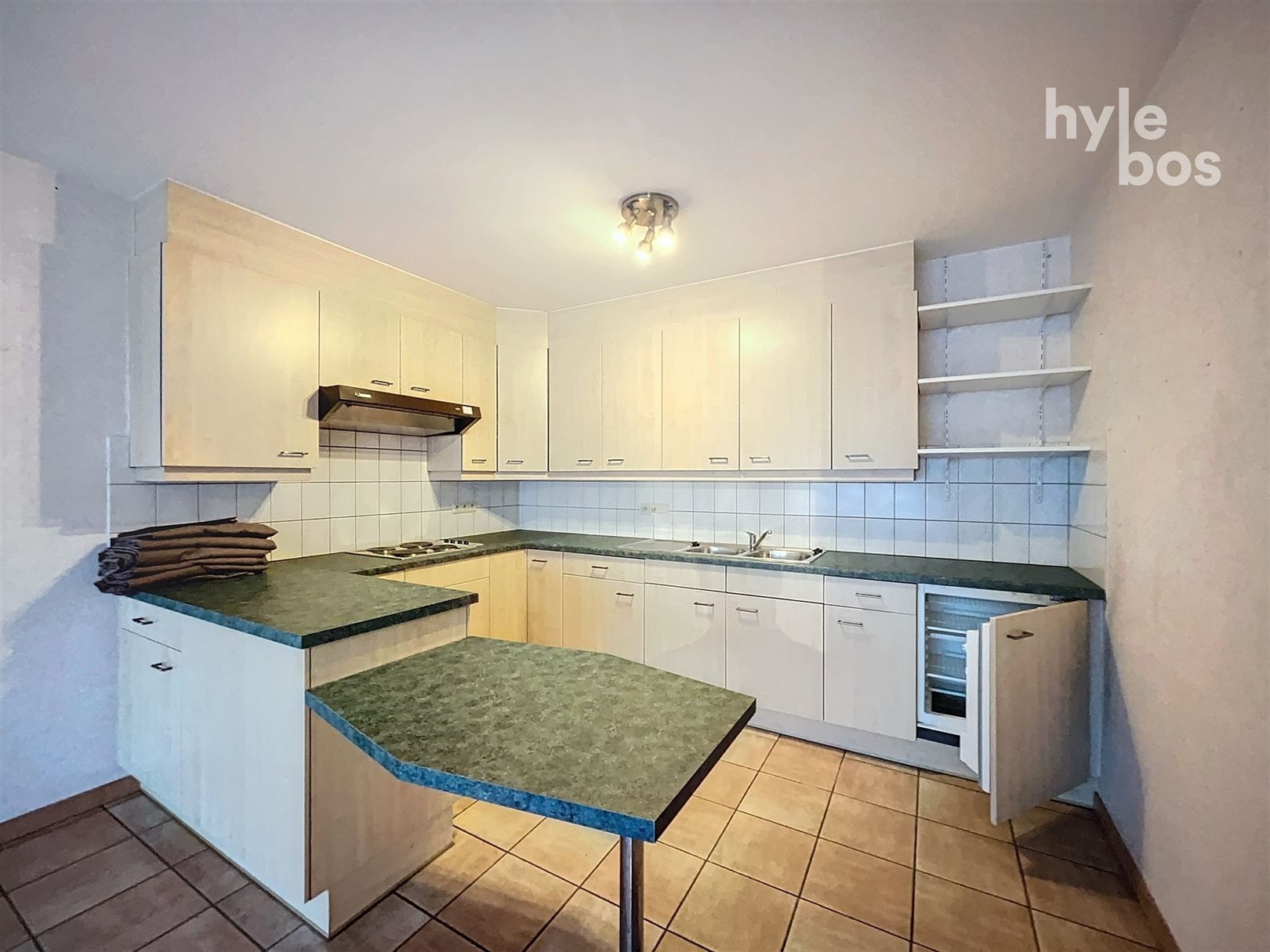 Rustig gelegen gelijkvloers appartement met garage foto 4